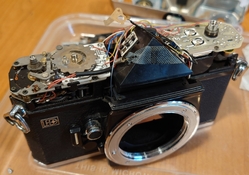 DSC_2873.JPG