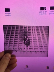 IMG_1087.jpeg