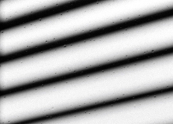 img_droplets2.jpg