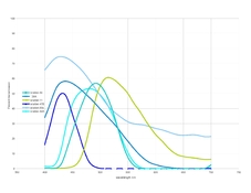 Blue-GreenFilterSpectra.jpg