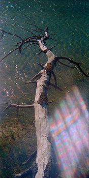 Untitled-(303).jpg Untitled-(303).jpg