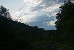 L1009419.jpeg