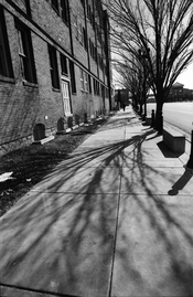 21mm voigtlander_0018.jpg