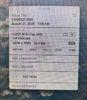 IMG_5078.jpeg