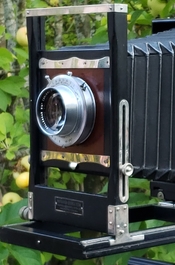 20200920_175616~4.jpg
