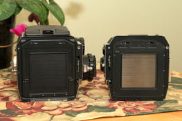 R6II0595.JPG