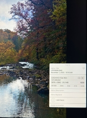 IMG_5152.jpeg