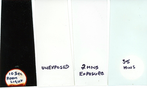 Test strip.jpg