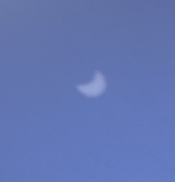 IMG_4310.jpeg