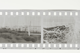 untitled-11.jpg