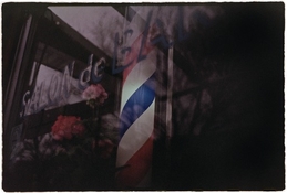 IMG_8266.jpeg