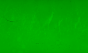 Screen Shot 2024-04-22 at 12.49.54 PM.png