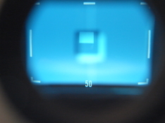 R1117035.JPG