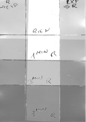TestKodak_1.jpg