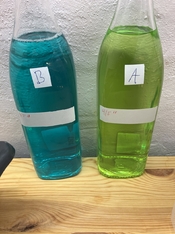 IMG_9518.jpeg