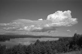 img445.jpg