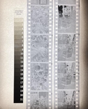 p33-rodinal_.jpg