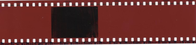 img041.jpg