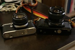 _MG_5594.jpg