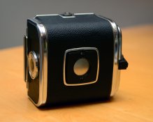 back 02.jpg