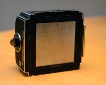 back 03.jpg