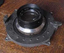 iris3.jpg