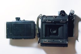 DSC_7469.jpg