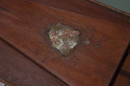 IMG_1068.jpg
