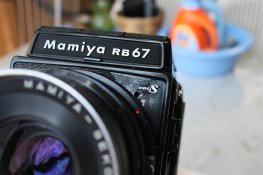 IMG_4593 (Large).JPG
