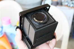 IMG_4608 (Large).JPG