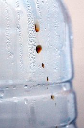 d76 brown drops.jpg d76 brown drops.jpg