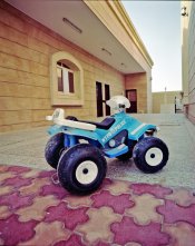 img013v.jpg