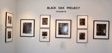 solo-show-3.jpg