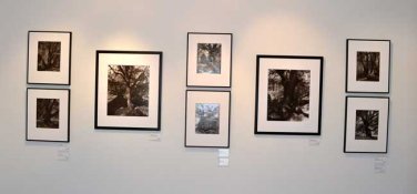 solo-show-4.jpg