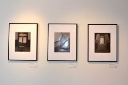 solo-show-6.jpg