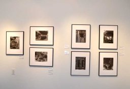 solo-show-8.jpg