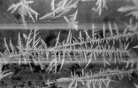 53392006731_69feb2445a_k.jpg 53392006731_69feb2445a_k.jpg