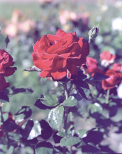 test-02.jpg