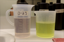Champagne or lemon-limeade.jpg