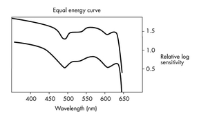 Equal_energy_HP5+_and_FP4+.jpg