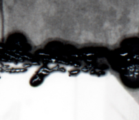zoomed.jpg