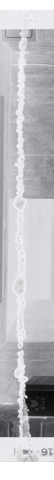 full-width.jpg