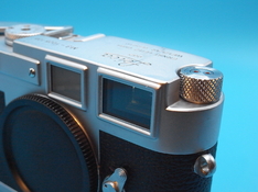 R1117221.JPG