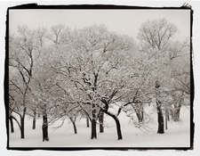 Kenwood-Park-Snow.jpg