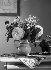 img291.jpg