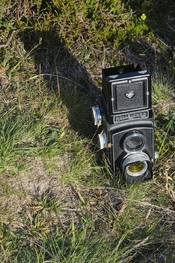 RolleiWilds1.jpg