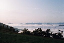 616529.JPG