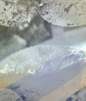 IMG_9939.jpeg