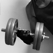 Dumbbell and Dumber.jpg