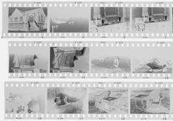 kentmere_100_negatives-t5370.jpg kentmere_100_negatives-t5370.jpg